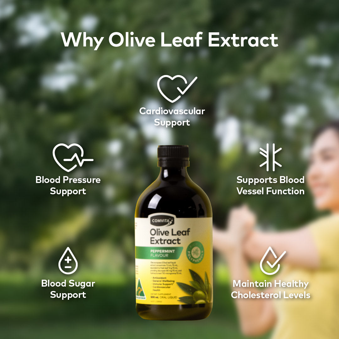 Olive Leaf Extract - Peppermint Flavour, 500ml
